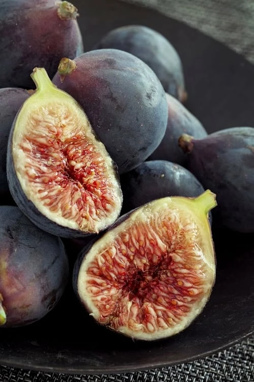 Chicago Cold Hardy Fig Tree - 6 Pack of 1 Gallon Pots Chicago Cold Hardy Fig Tree - 6 Pack Of 1 Gallon Pots -Garden Supplies Sales 2024 Fig Chicago Cold Hardy Rev 2 500x750 5
