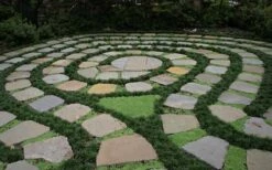 Kyoto Super Dwarf Mondo Grass - 3 Pack Of Pint Pots -Garden Supplies Sales 2024 Grass Mondo Super Dwarf 2