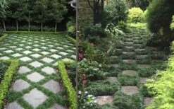 Kyoto Super Dwarf Mondo Grass - 3 Pack Of Pint Pots -Garden Supplies Sales 2024 Grass Mondo Super Dwarf Combo