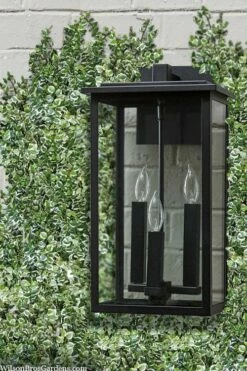 Variegated Creeping Fig - Ficus Pumila 'Variegata' - 5 Pack Of Pint Pots 7 Variegated Creeping Fig - Ficus Pumila 'Variegata' - 5 Pack Of Pint Pots -Garden Supplies Sales 2024 ficus pumila variegata creeping fig 102 1